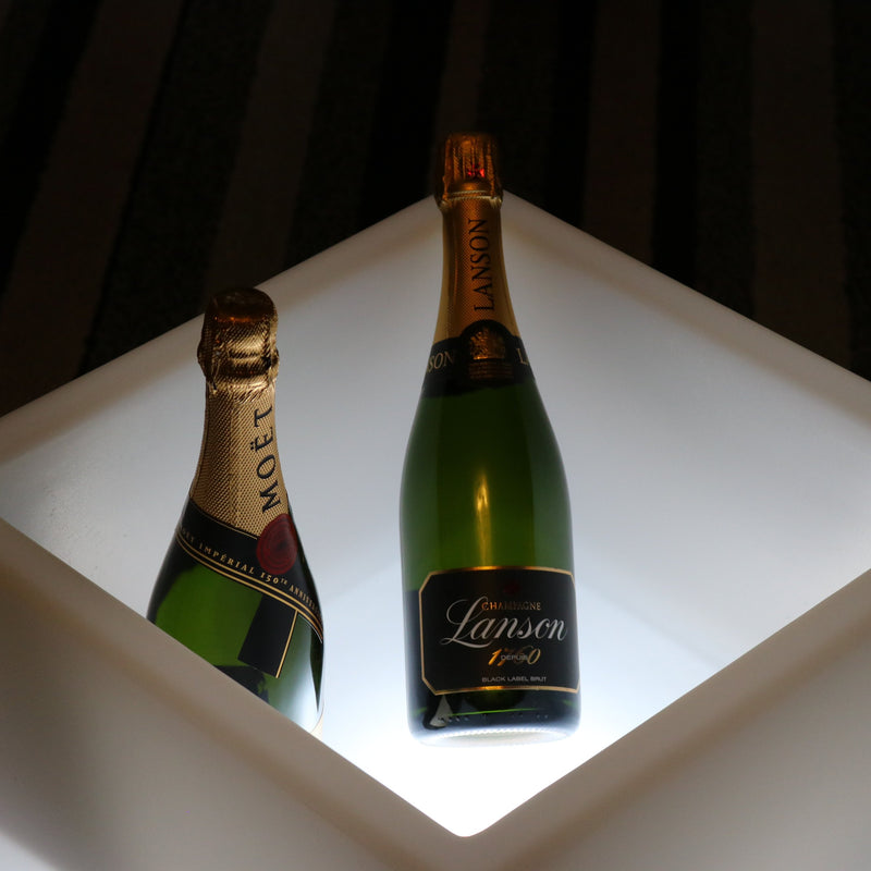 Grote 40 x 40 cm LED Ijsemmer Wijn Champagne Koeler, Fles Drankenhouder, Multi Colour RGB