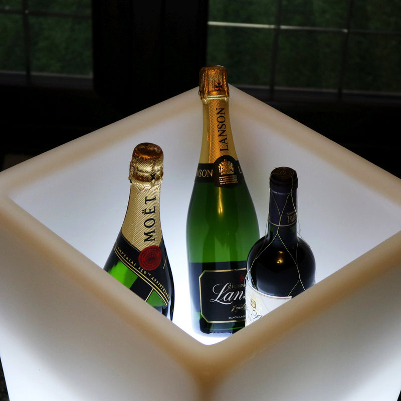 LED Wijn Champagne Koeler, Verlichte IJsemmer, 75cm, Op Netvoeding, Drankenhouder, Tuinlamp