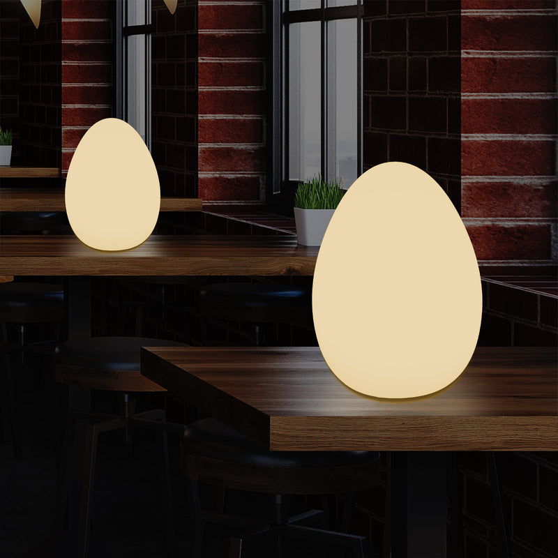 LED Tafellamp voor Slaapkamer met Warm Wit E27 Lamp, Modern 37cm Licht Ei