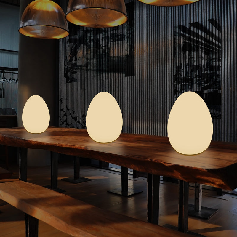 LED Tafellamp voor Slaapkamer met Warm Wit E27 Lamp, Modern 37cm Licht Ei
