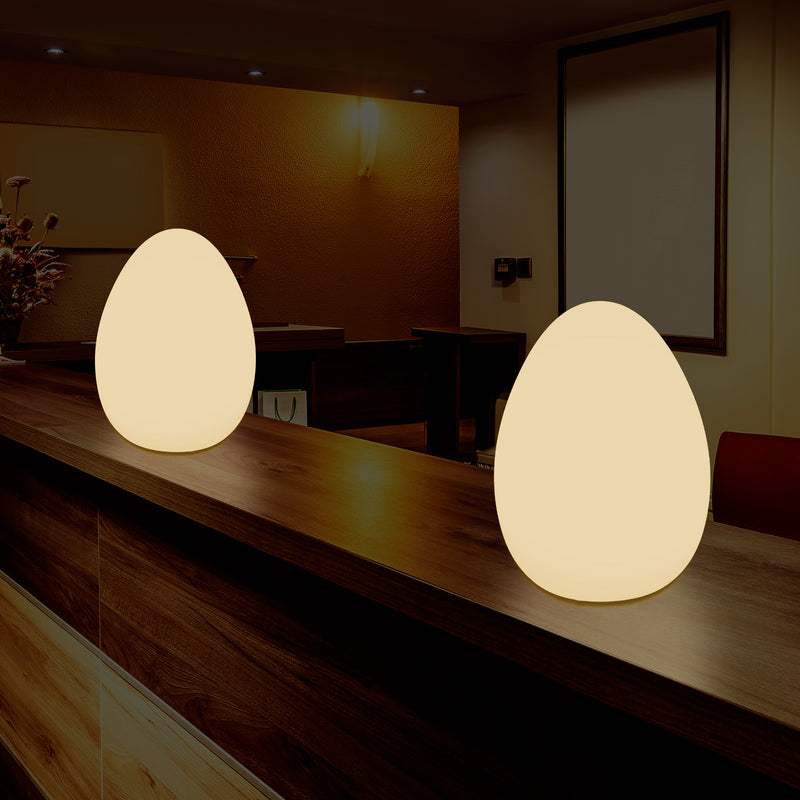 LED Tafellamp voor Slaapkamer met Warm Wit E27 Lamp, Modern 37cm Licht Ei