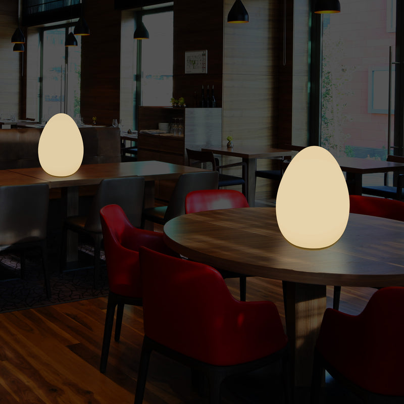 LED Tafellamp voor Slaapkamer met Warm Wit E27 Lamp, Modern 37cm Licht Ei